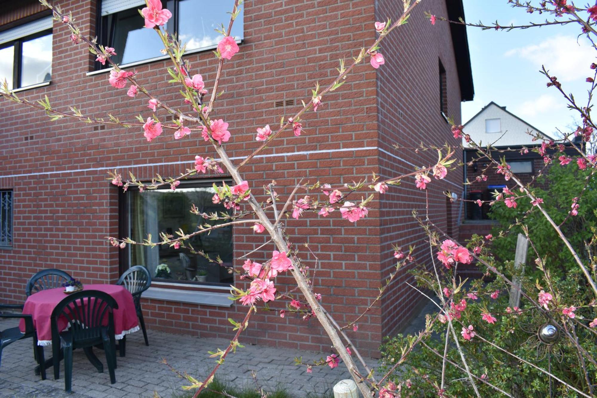 באד מינדר אם דייסטר Ferienwohnung Jannack Fuer 5 Personen In Bad Muender מראה חיצוני תמונה